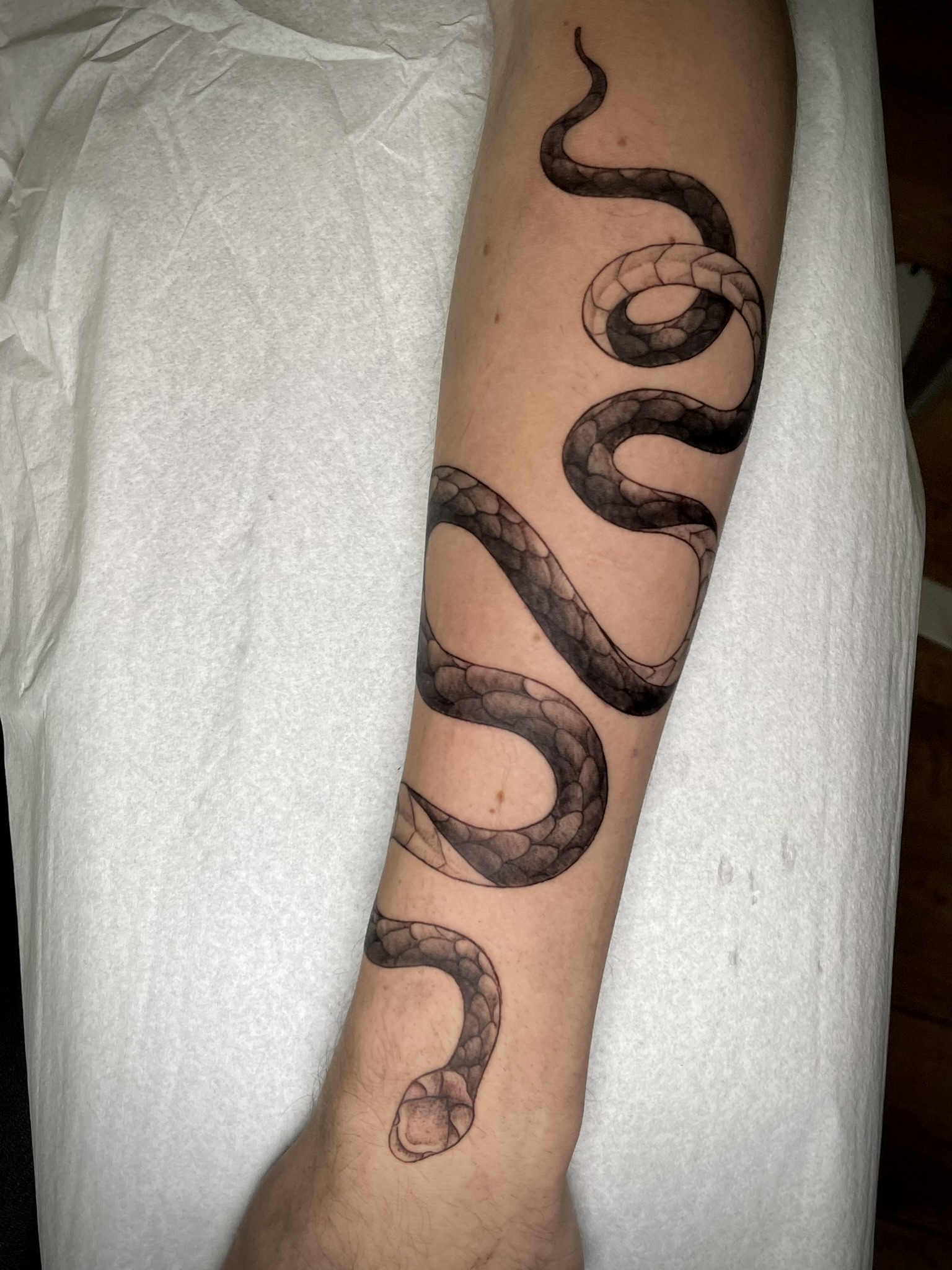 Snake