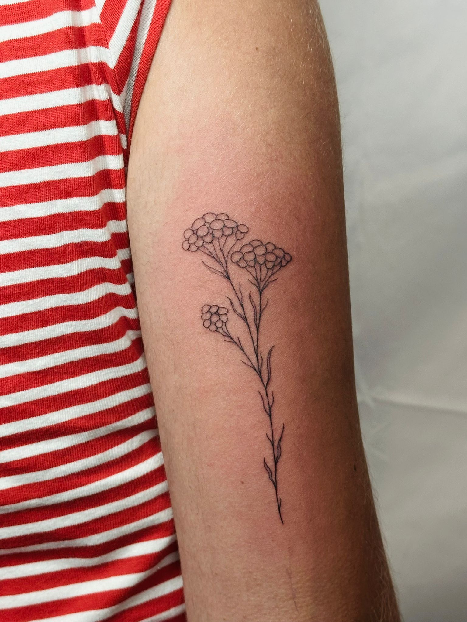 Tatouage fine line par Luluslash — 2