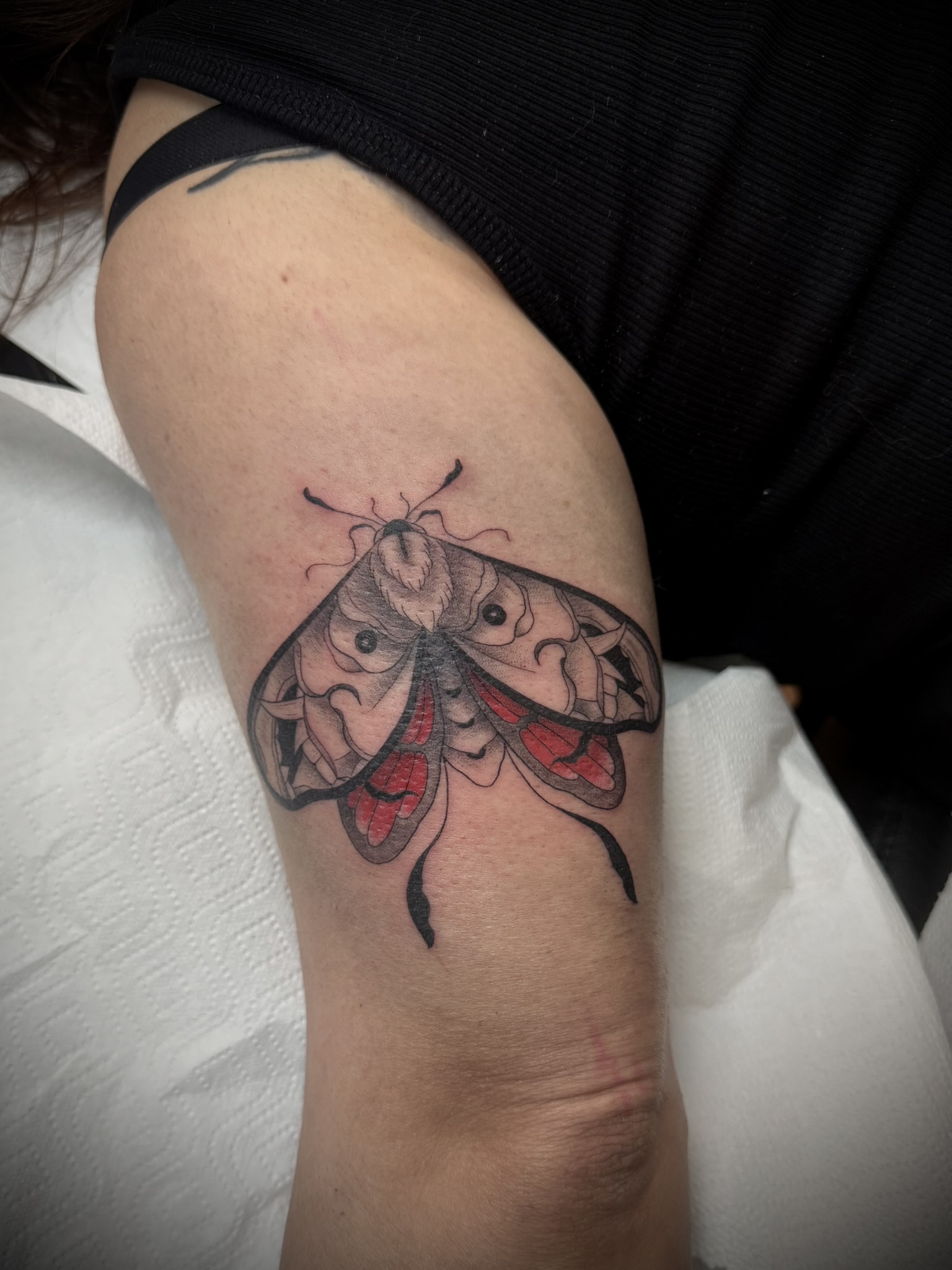 hanya butterfly